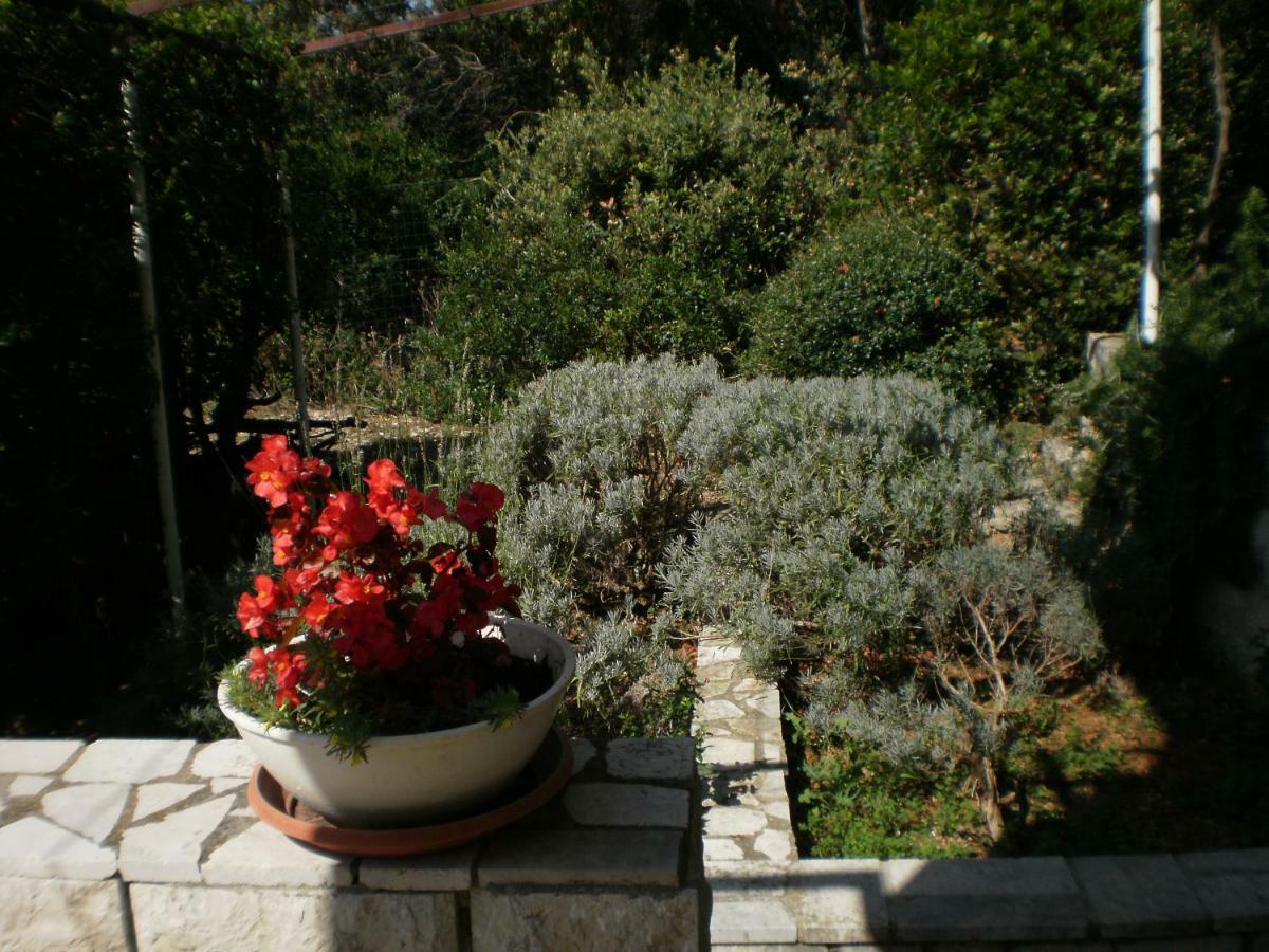 Apartmani Senka - Villa Oliver Martinscica  Exterior photo